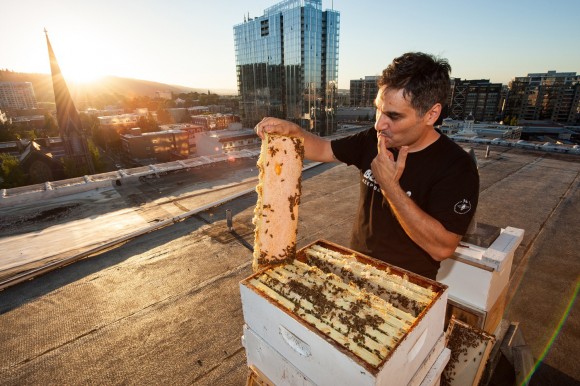 Damian Magista tends to a rooftop hive in Portland, Ore. Credit: Copyright Bee Local