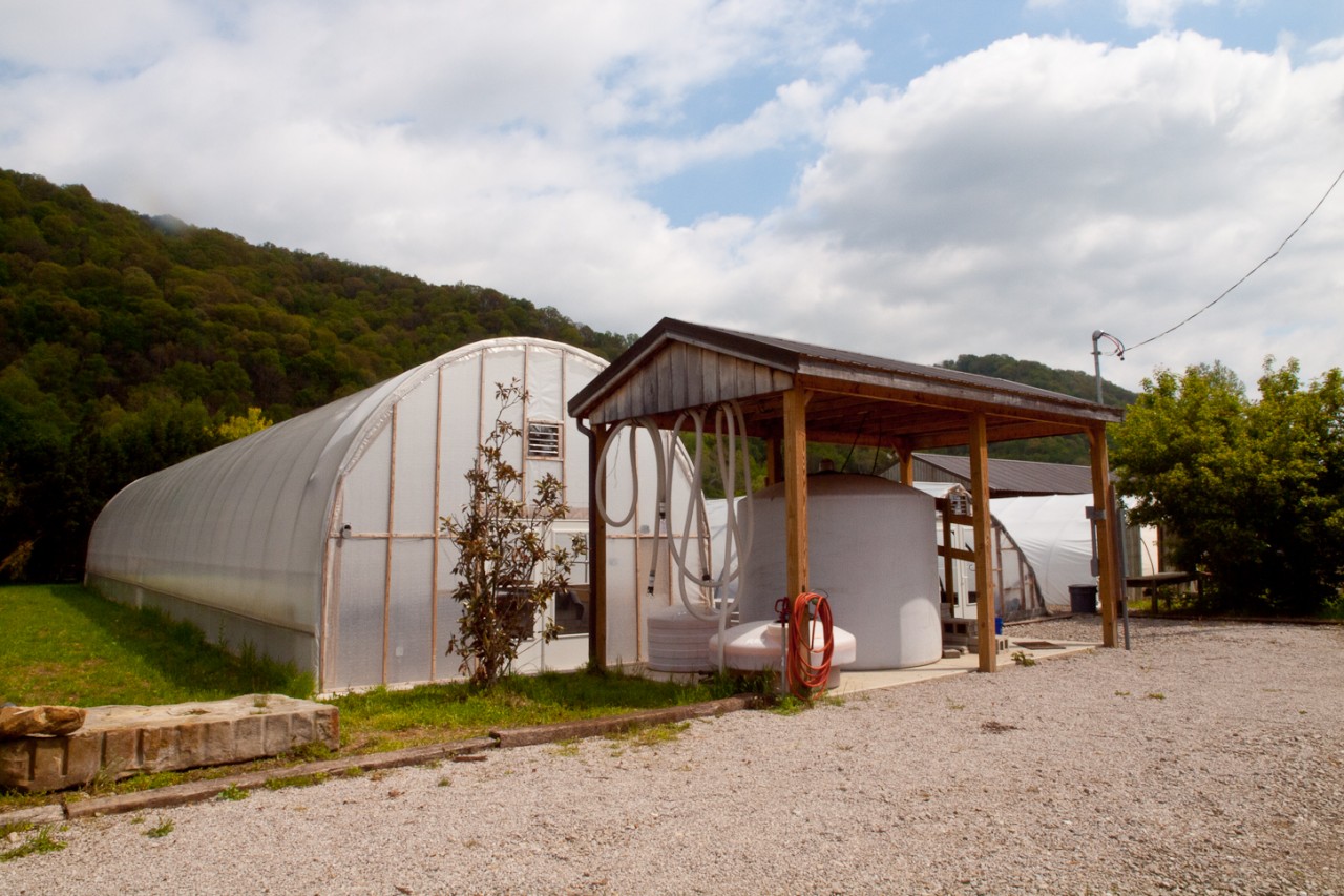 Hoop houses and tanks at Dickinson Salt-Works. Credit: Copyright 2015 Susan Lutz