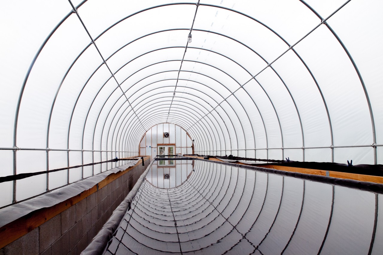 Interior of hoop house for evaporating salt at Dickinson Salt-Works Credit: Copyright 2015 Susan Lutz