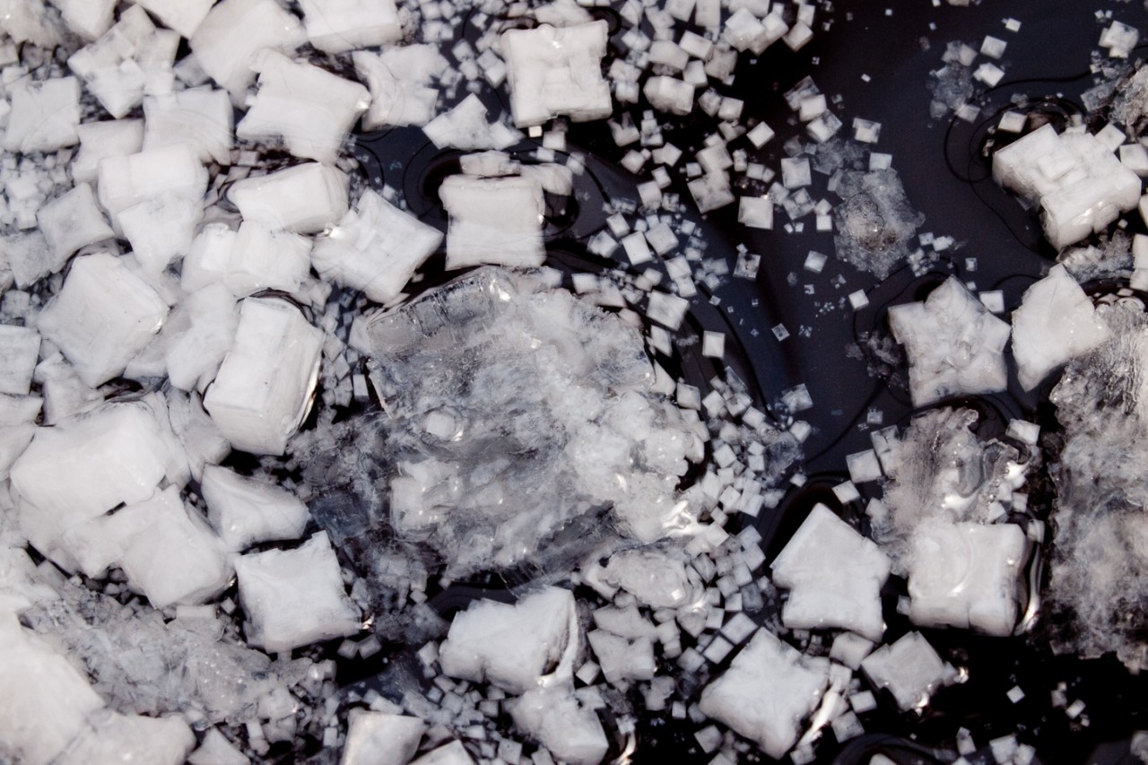 Salt crystals forming in salt beds at Dickinson Salt-Works. Credit: Copyright 2015 Susan Lutz
