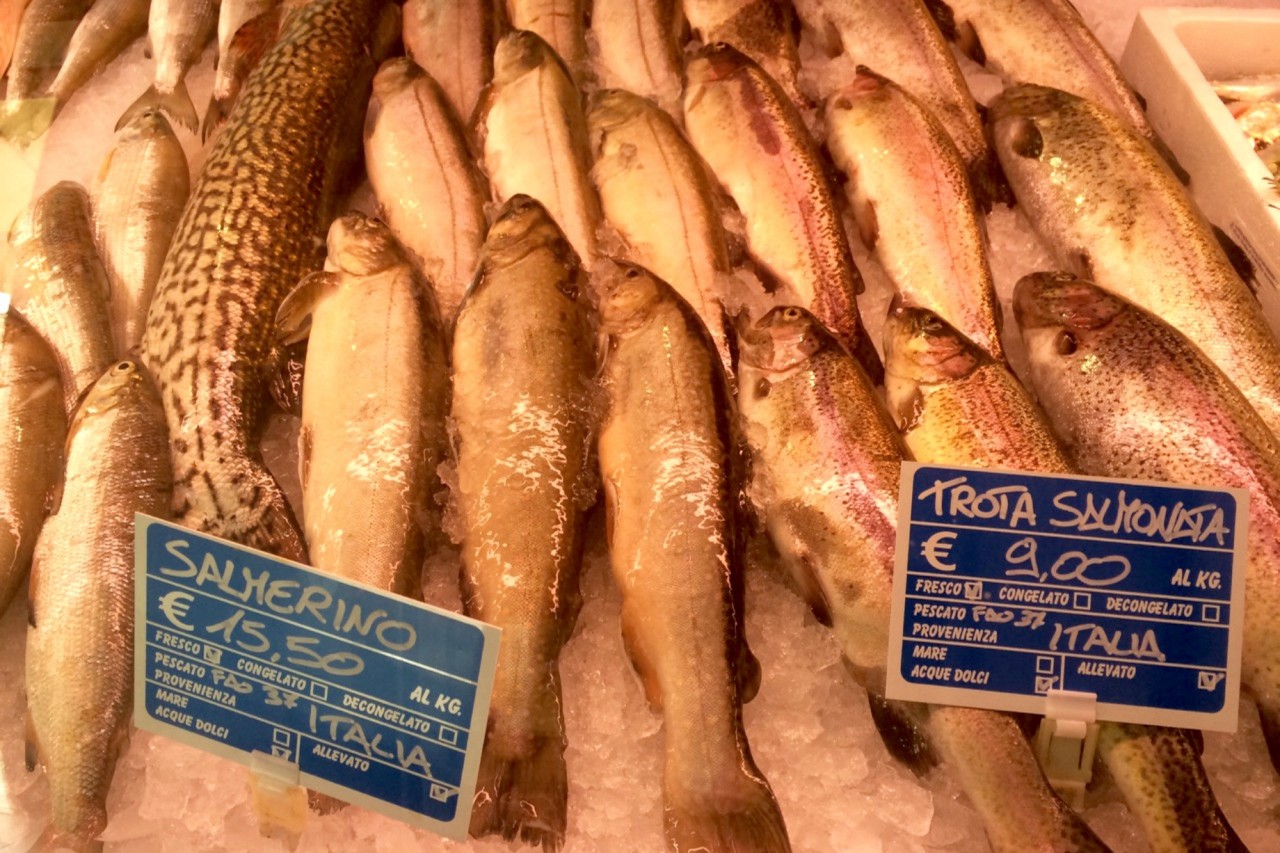 Char, pike and trout on sale in Garda, Italy. Credit: Copyright 2015 Clarissa Hyman
