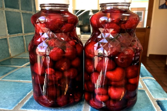Bing cherry infused vodka in quart jars. Credit: Copyright 2015 David Latt