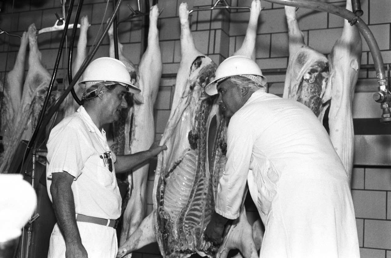 USDA inspector examines pork meat at a swine processing plant. Credit:  Courtesy of National Archives and Records Administration