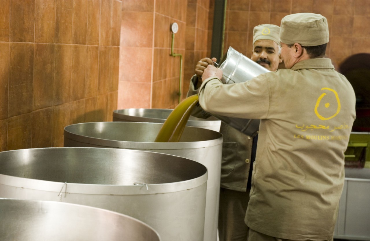 Tunisian olive oil makers, many of them artisanal producers, are bottling and labeling their oils. Credit: Copyright Les Moulins Mahjoub