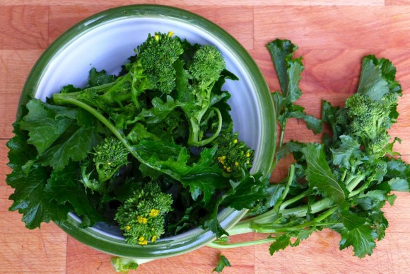 Brassica rapa at the Palo del Colle market in Puglia, Italy. Credit: Copyright 2014 Nathan Hoyt/Forktales