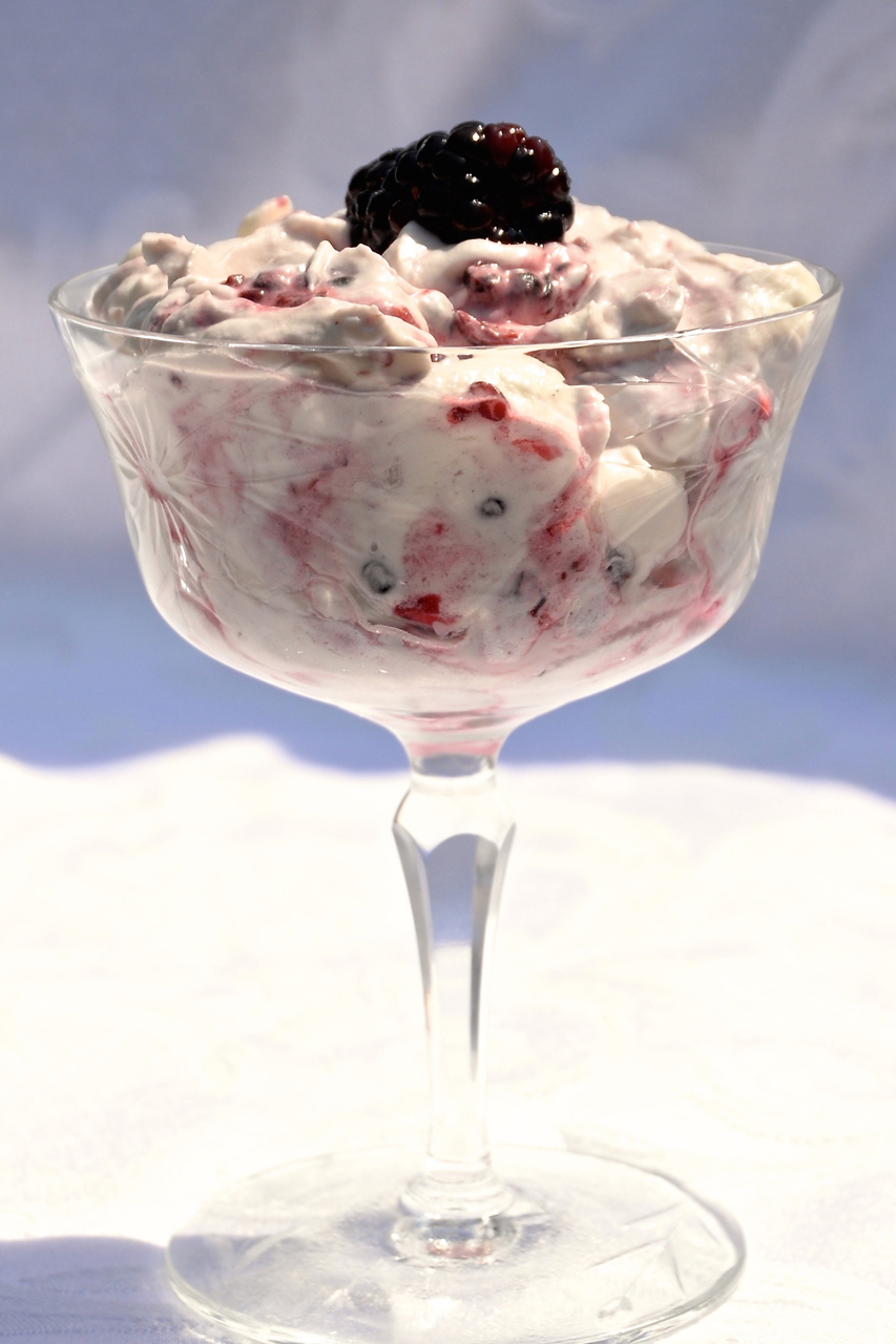 Blackberry fool. Credit: Copyright 2015 Kathy Hunt