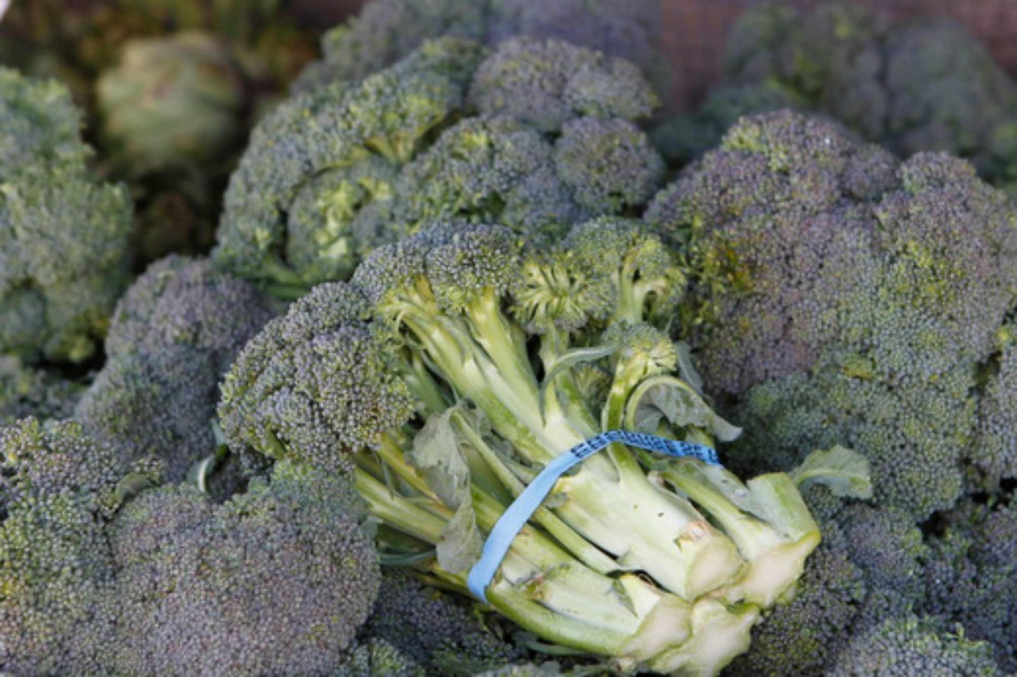 5 Easy Broccoli Salads To Celebrate Summer’s End Image