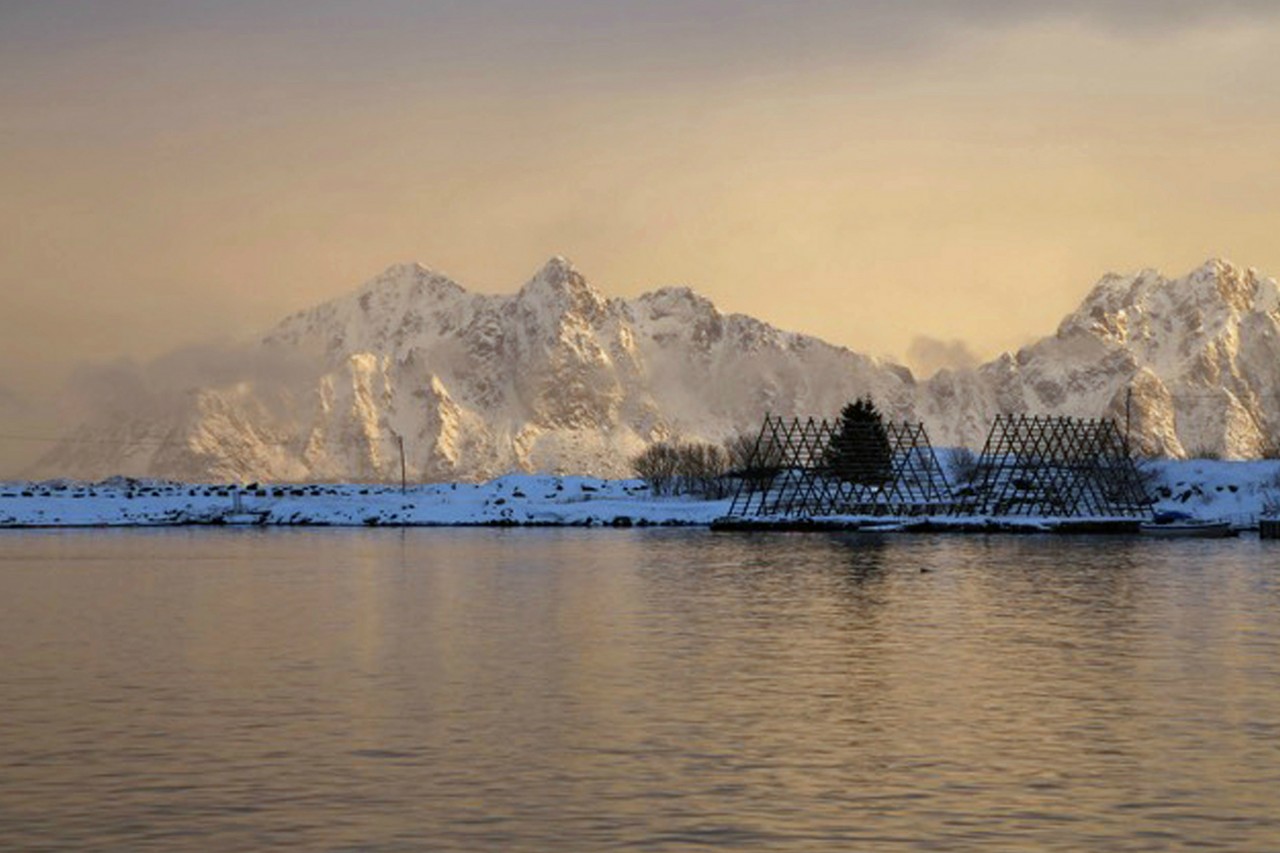 Cod drying racks stand empty in the Lofoten Islands in Norway. Credit: Copyright 2014 Stefan Wettainen