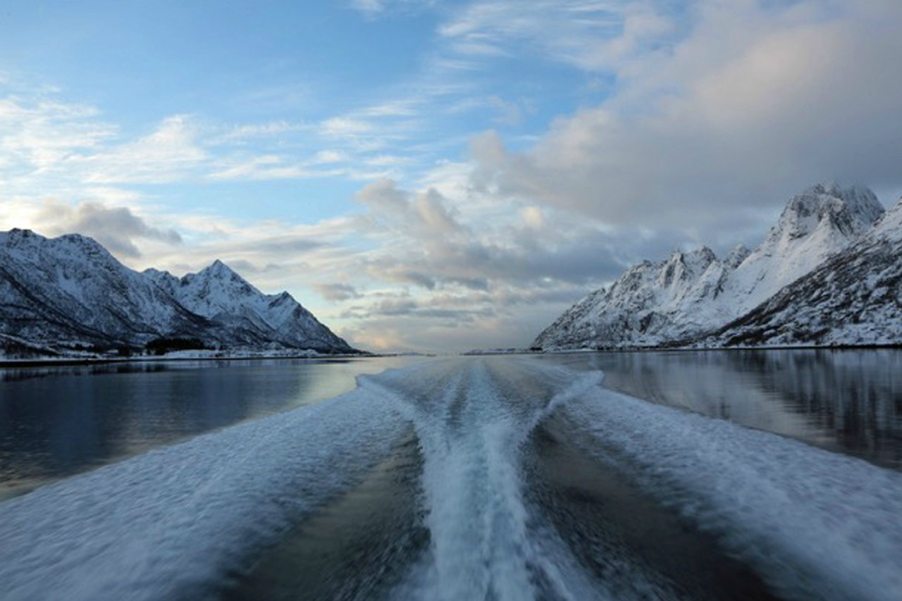 Because of the decline in the annual catch, the Lofotens are already less a working fishing community than a holiday destination. Credit: Copyright 2014 Stefan Wettainen