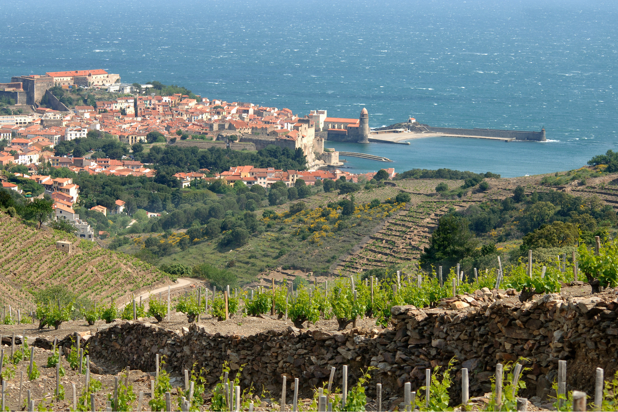 Domaine la Rectorie's vineyards are on steep hillsides with fabulous views over the Mediterranean. Credit: Courtesy of the Conseil Interprofessionnel des Vins du Roussillon