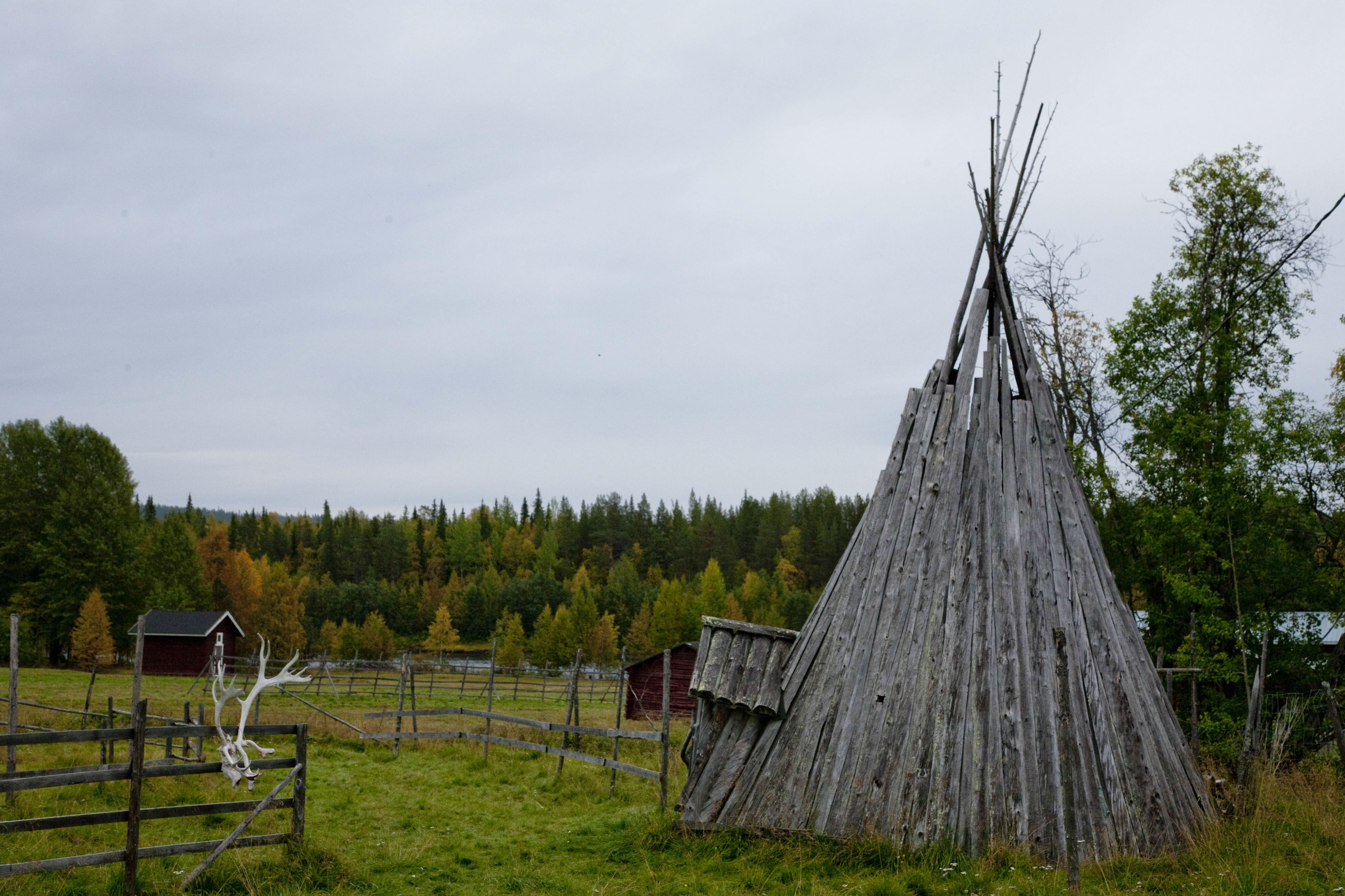 A typical Sami tipi in northern Finland. Members of the Sami community say they are losing their culture, as well as their land, through land-grabs. Credit: Copyright 2012 Carla Capalbo