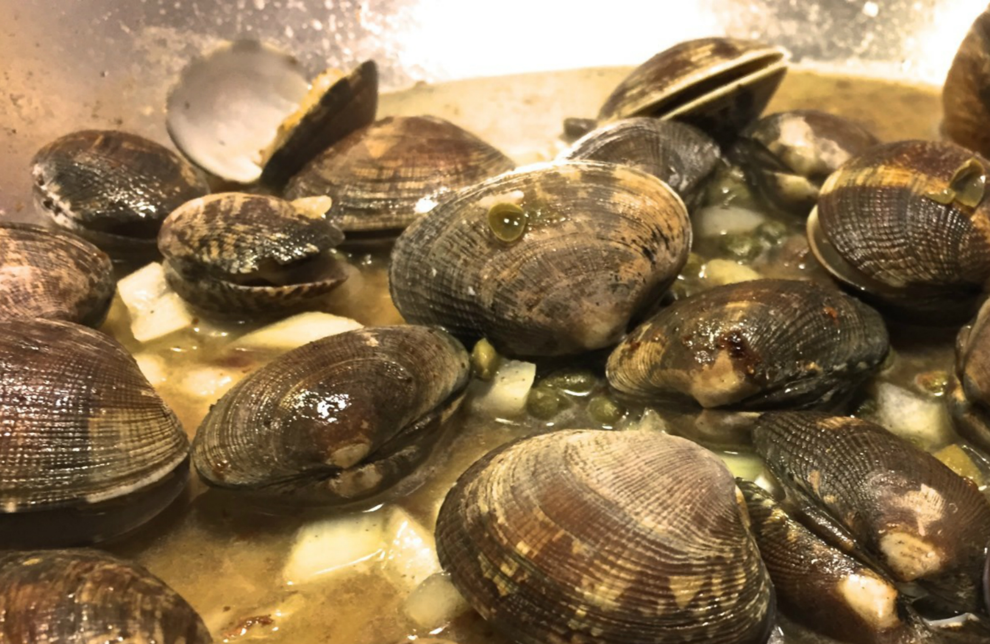 Little neck clams in a frying pan with shellfish broth. Credit: Copyright 2016 David Latt