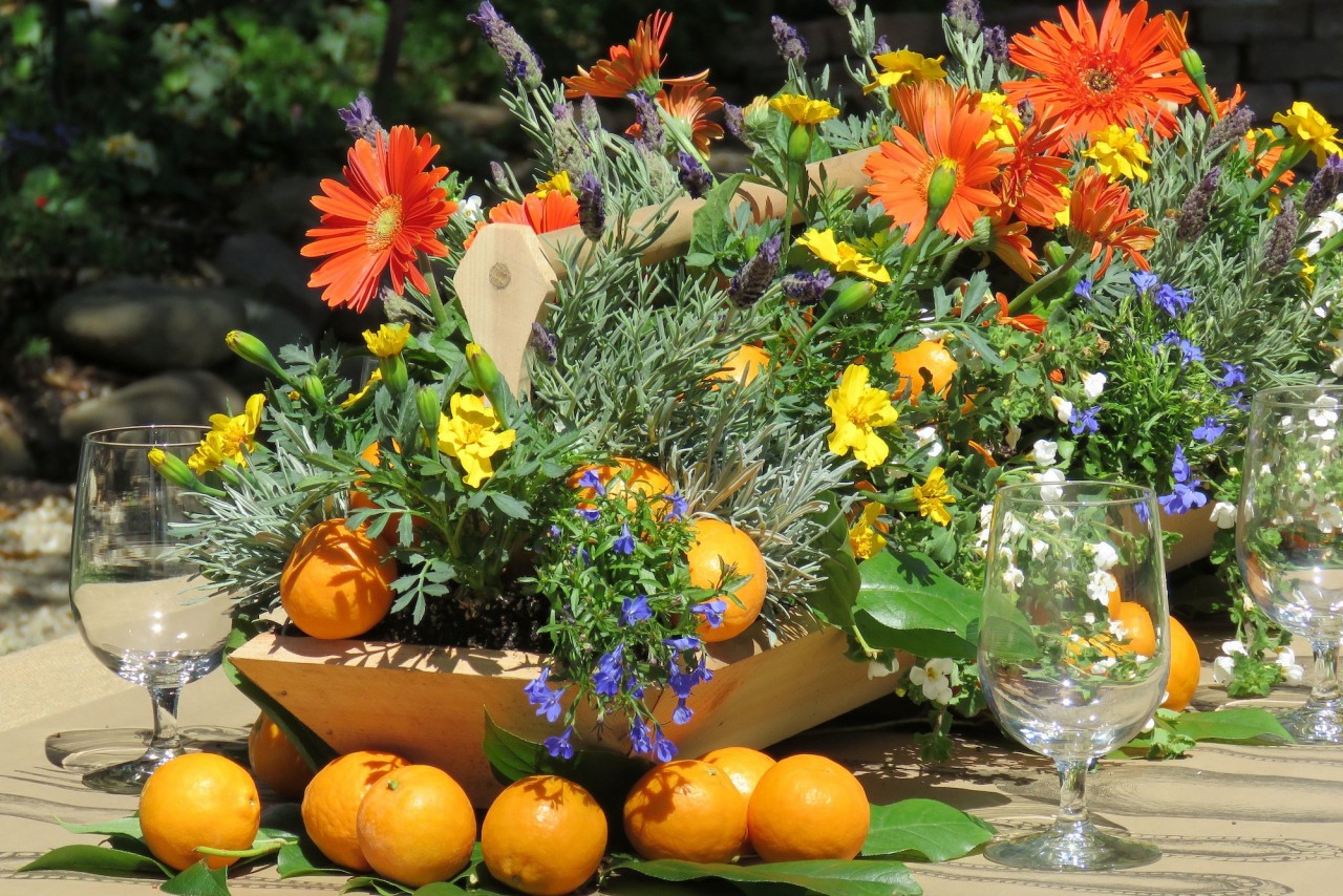 A visual feast of Ojai fruits and flowers. Credit: Copyright 2016 Dana Rebmann