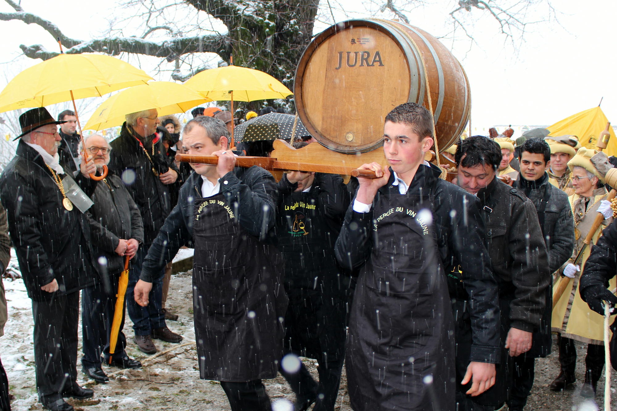 Celebrating Jura’s Special Vin Jaune Wines Image