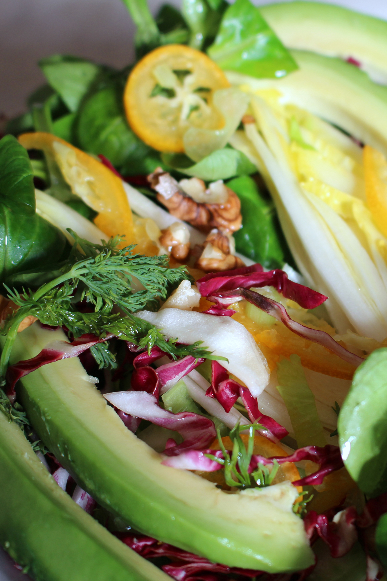 Salad of Belgian endive, radicchio, lamb’s lettuce, kumquats and avocado. Credit: copyright 2016 Sue Style