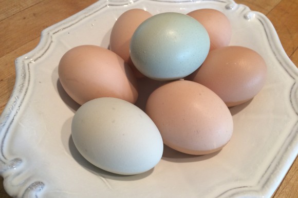 Fresh eggs. Credit: Copyright 2016 Nancy Harmon Jenkins