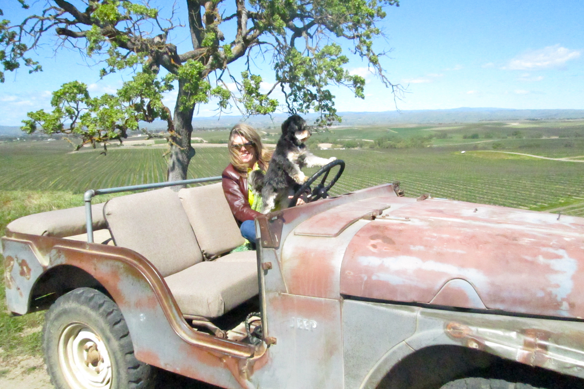 Cindy Steinbeck with her 3-year-old pooch Cri-Cri atop Steinbeck Vineyards in Paso Robles, California’s, Geneseo District. Credit: Copyright 2016 Mira Honeycutt