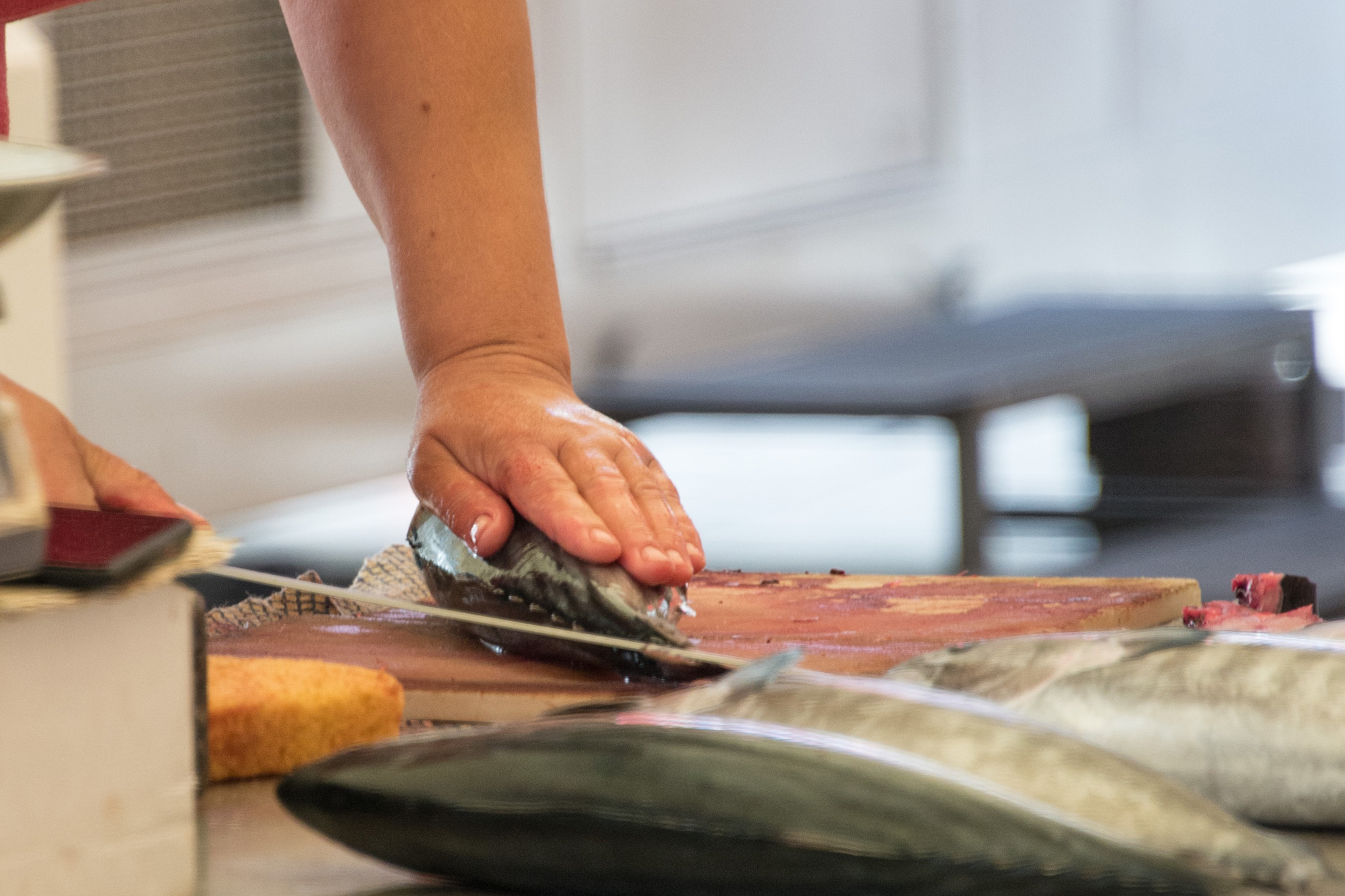 Cleaning fish. Credit: Copyright 2016 Kathy Hunt