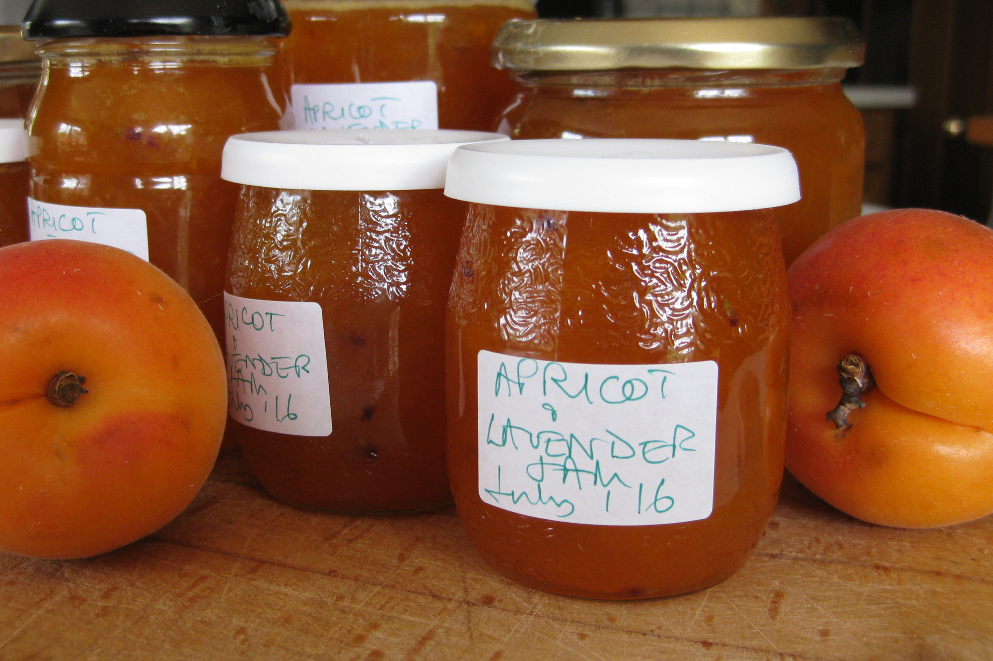 Apricot Jam with Lavender. Credit: Copyright 2016 Sue Style
