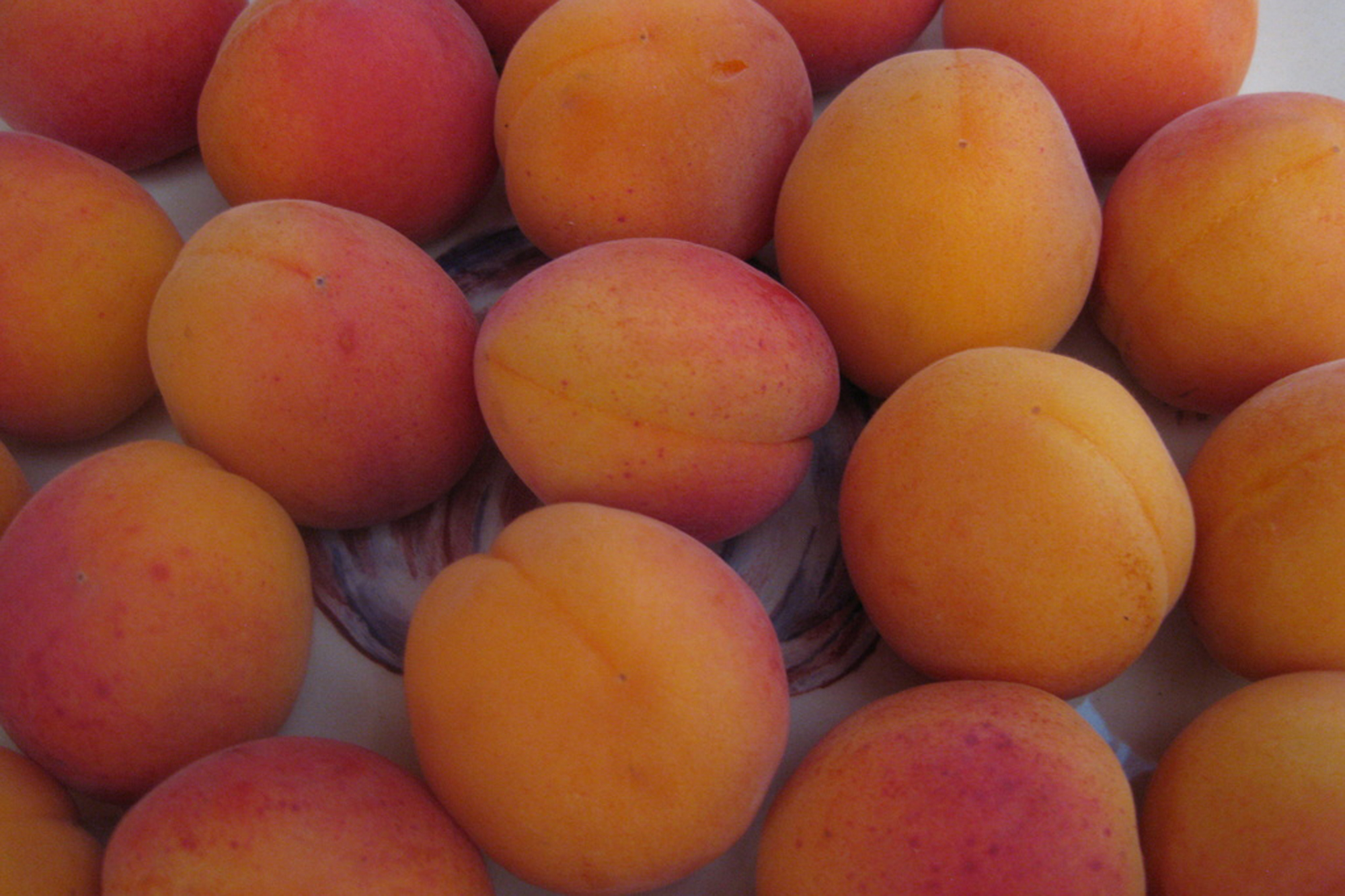 Fresh apricots are the perfect choice for a seasonal dessert. Credit: Copyright 2016 Sue Style