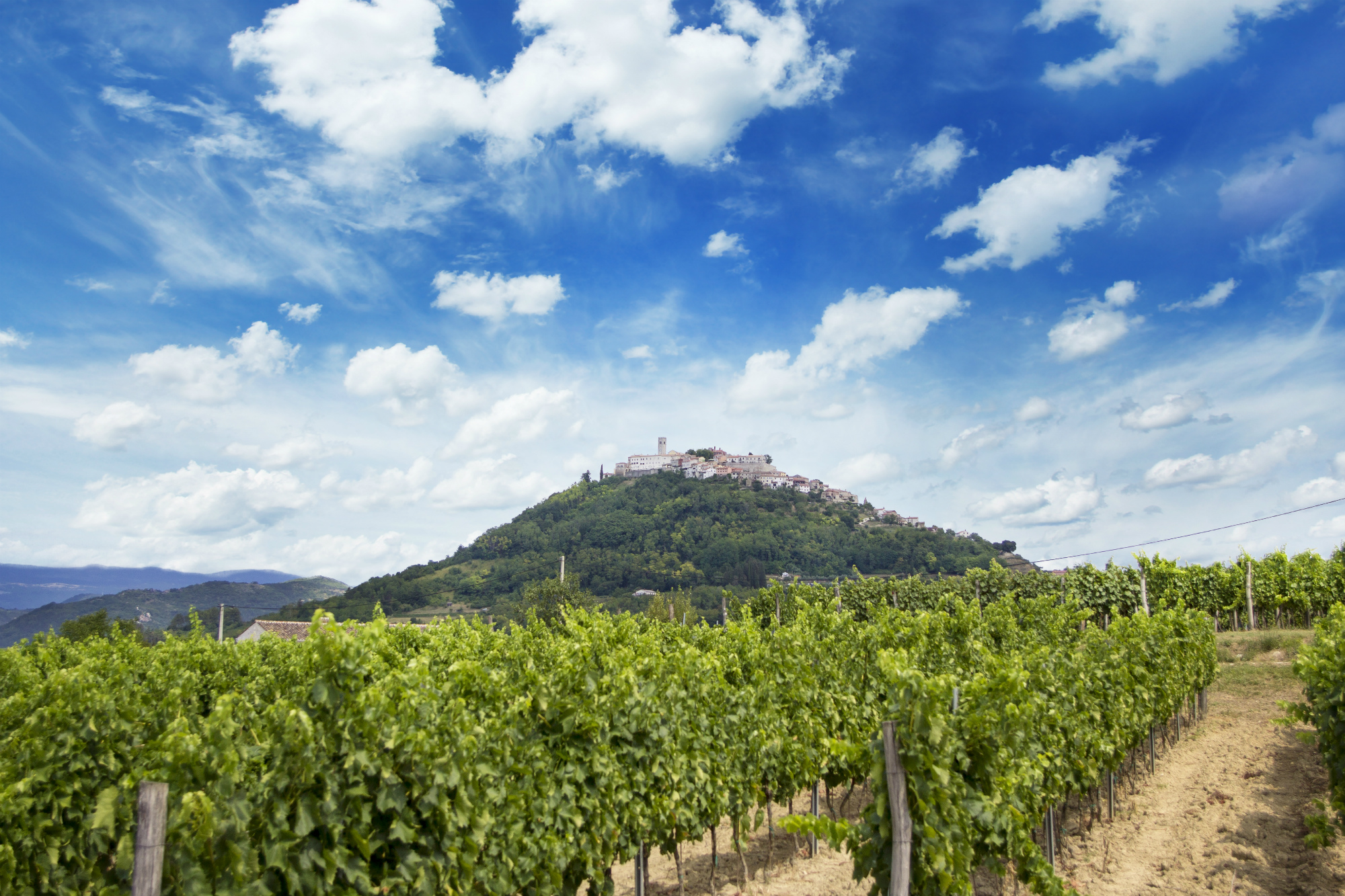 Main photo: Benvenuti winery is located in the quiet Istrian village of Kaldir, where the Benvenuti family grows three grape varieties, including Malvasia. Credit: Courtesy of Benvenuti winery