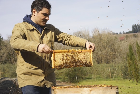 bee tending