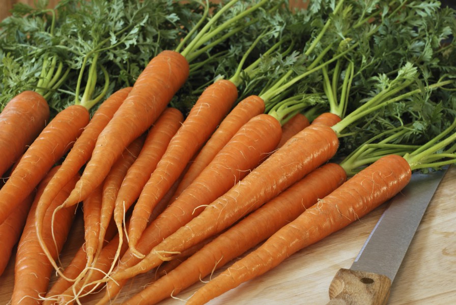 Carrots can pair nicely with traditional Middle Eastern flavors. Credit: Copyright iStockPhoto