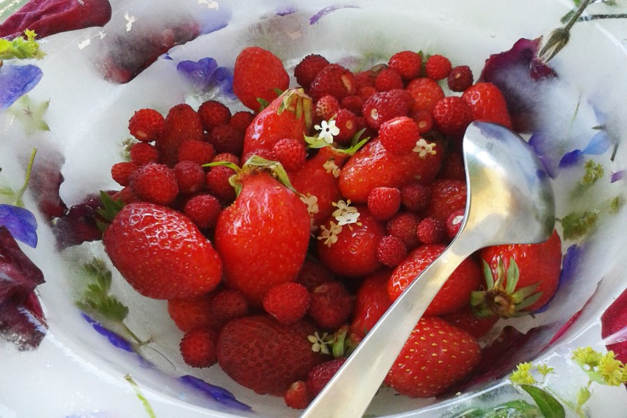 A flower ice bowl filled with summer fruit and elderflower blossoms. Credit: Copyright 2015 Sue Style