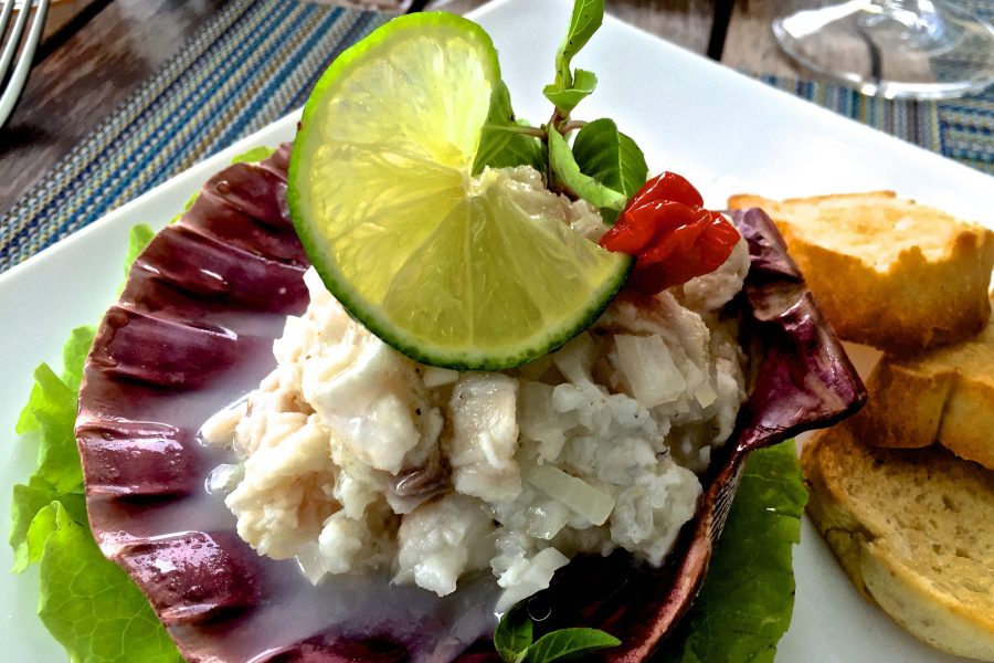 Red snapper ceviche at Paladar Vistamar. Credit: Copyright 2016 David Latt