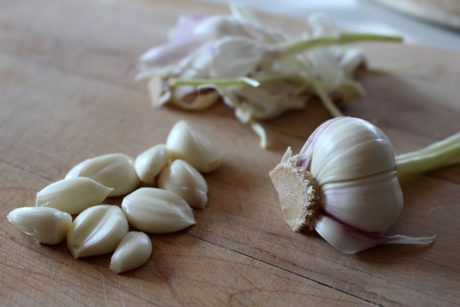 New garlic. Credit: Copyright 2016 Sue Style