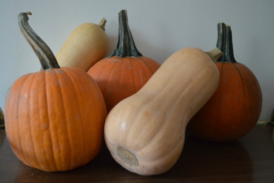 Butternut squash and pumpkins make a perfect Thanksgiving side dish. Credit: Copyright 2016 Wynne Everett